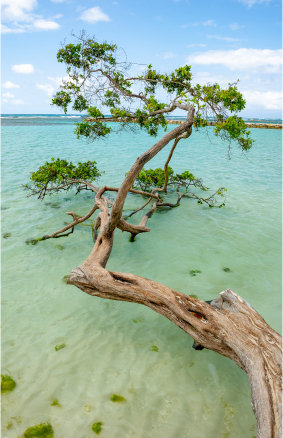 Archipel des Saintes, Guadeloupe