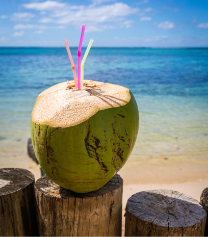 Noix de coco avec pailles sur plage face à la mer